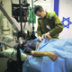 Израильские ВМС поставили заслон коронавирусу